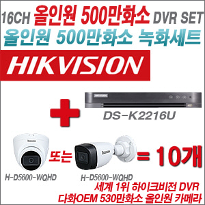 [올인원5M] DSK2216U 16CH + 다화OEM 530만화소 올인원 카메라 10개 SET (실내형3.6mm출고 / 실외형 품절)