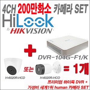 [올인원2M] DVR104GF1/K 4CH + HUMAN 200만화소 카메라 1개 SET (실내형 /실외형 3.6mm출고)